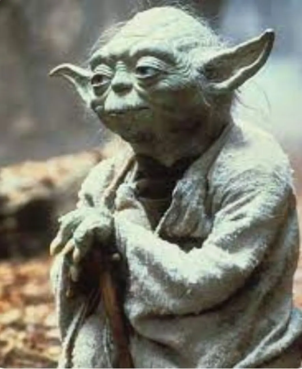 Yoda